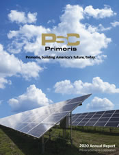 Cover image for annual report 2020 pdf