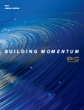 Cover image for annual report 2020 pdf